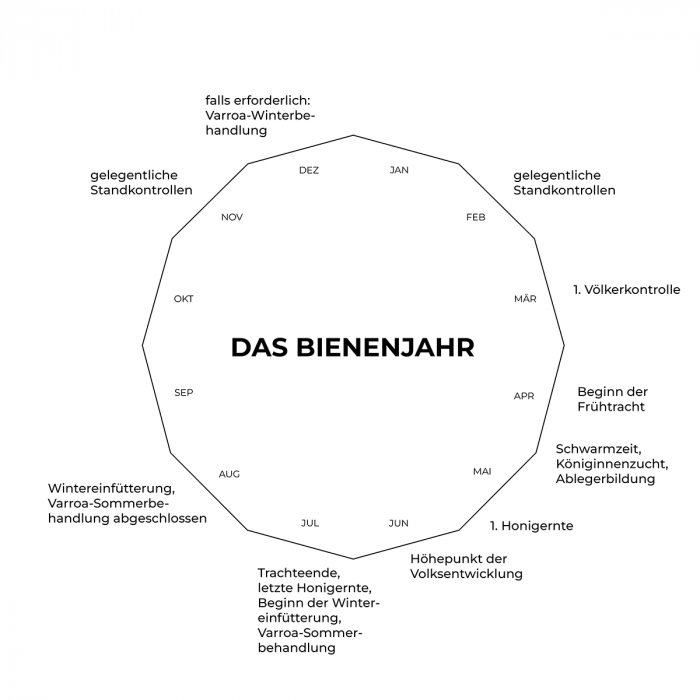 Das Bienenjahr